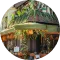 A small, colorful street food stall decorated with green plants and an illustrated sign, located on a city street corner.
